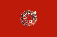 渭南市白水回收红酒